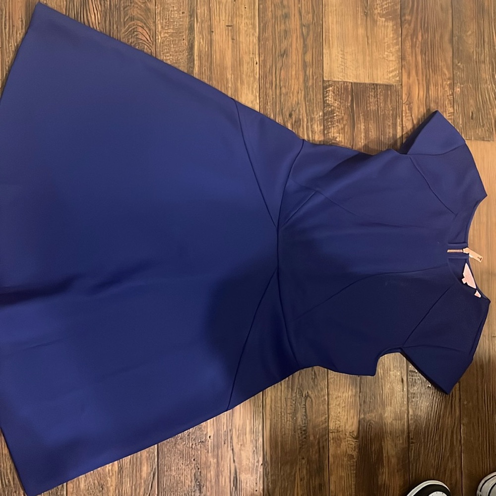 Ted Baker Sew in love blue dress with line designs